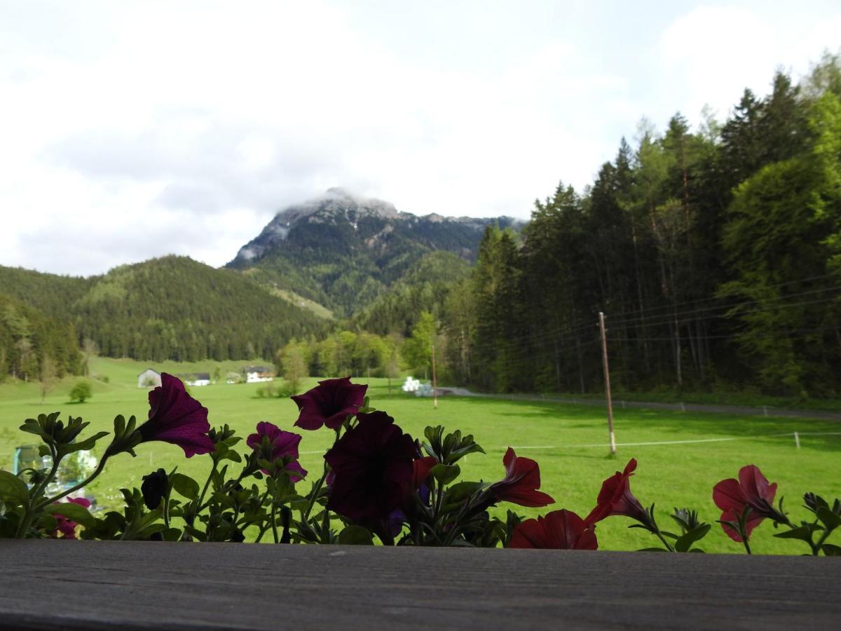 Bauernhof Moar Apartment Kernhof Екстериор снимка