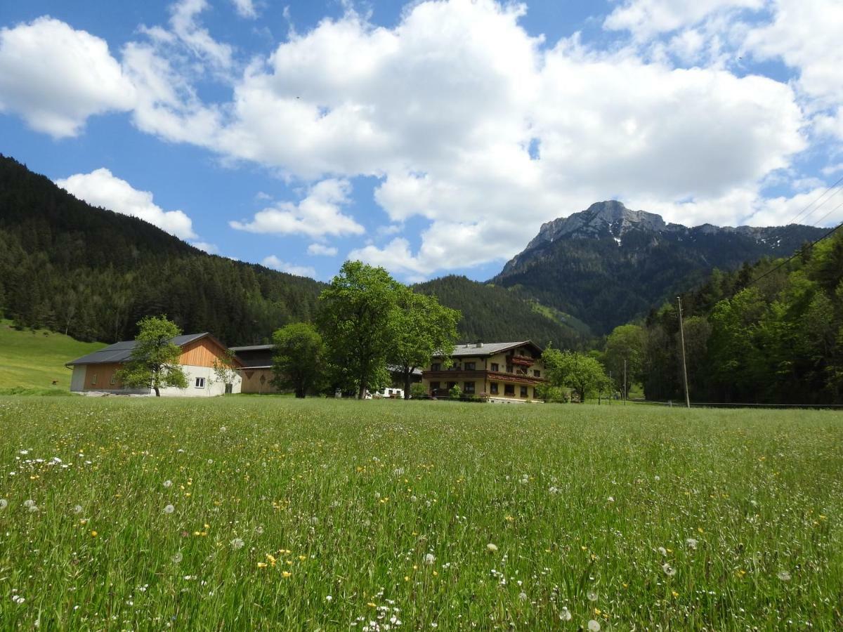 Bauernhof Moar Apartment Kernhof Екстериор снимка